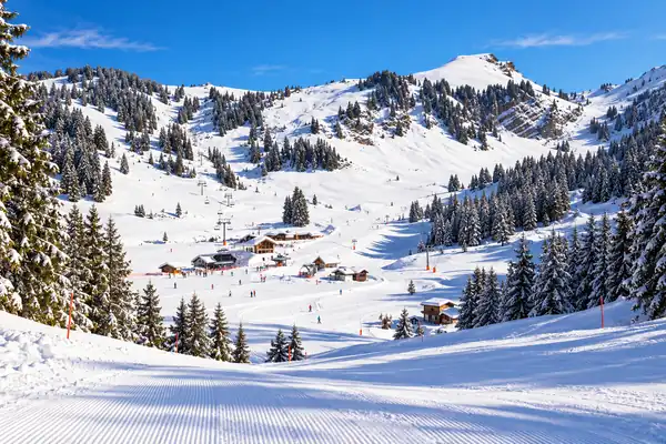 Paysage Montriond–Ardent